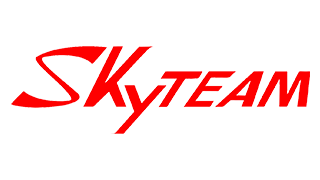 logo-skyteam